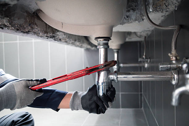 Top rated local Leak Detection specialists in Cedar Springs, MI